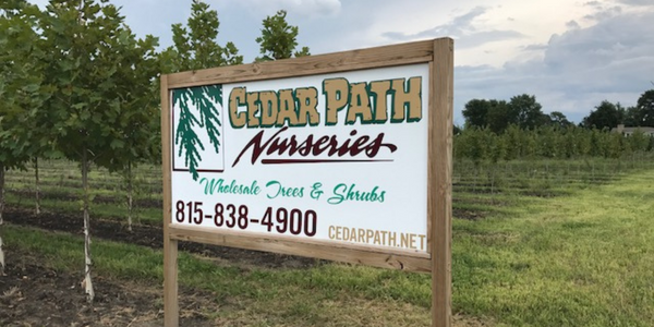Cedar-Path-Nurseries 