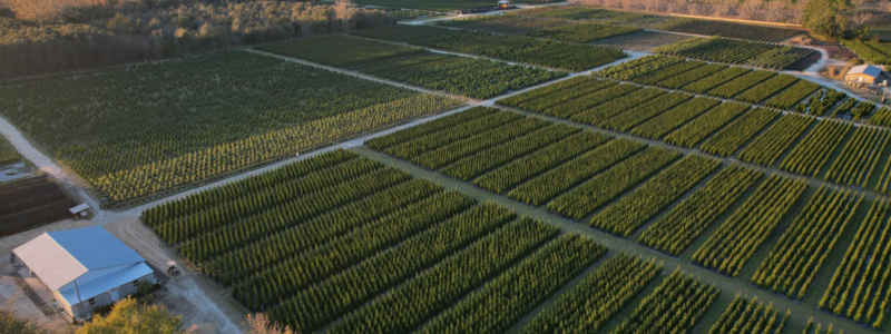 How Digital Tools Are Transforming Local Plant Sourcing for Landscape Contractors