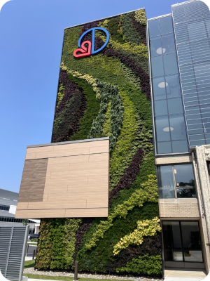 Keeping Living Walls Thriving: A Refresh at Deborah Heart and Lung Center
